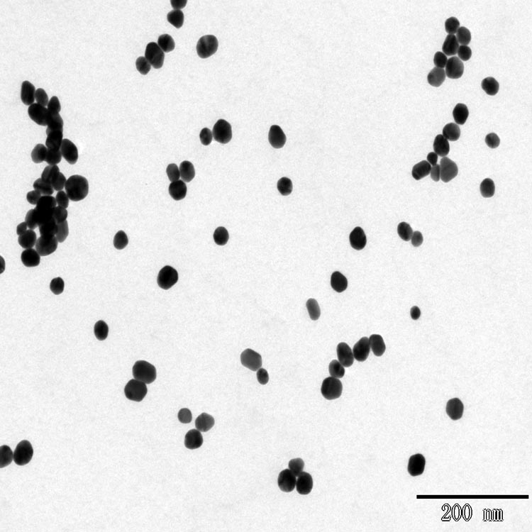 Pure nano gold Colloidal dispersions as a marker in biological system